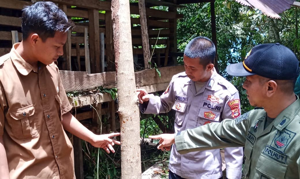 Paska Beruang Mangsa Ternak, Polhut dan Polsek Pematangsawa Lakukan Patroli 