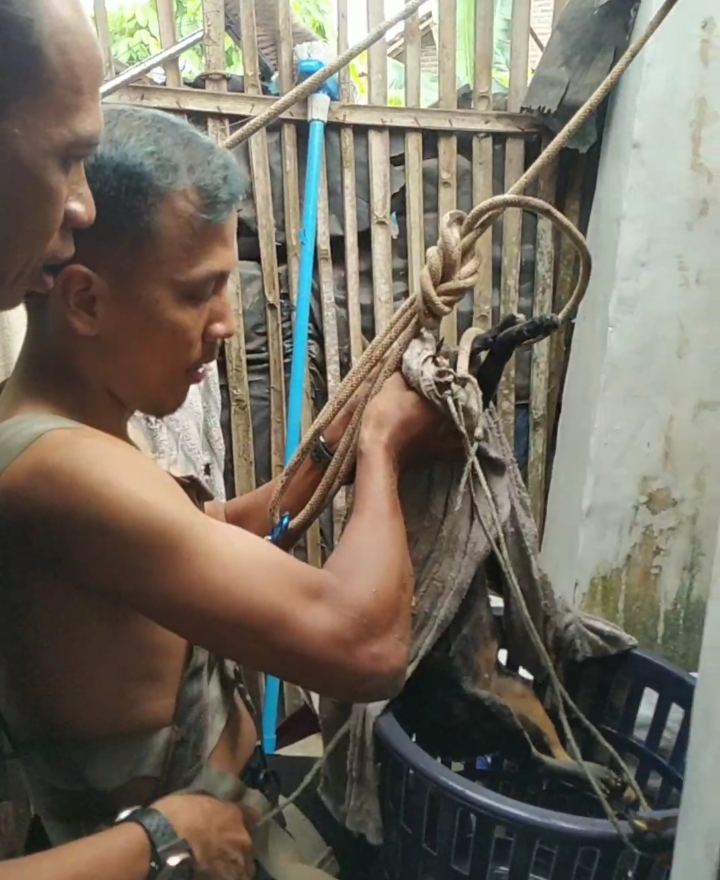 Personil BPBD Pringsewu Selamatkan Kucing Tercebur Sumur