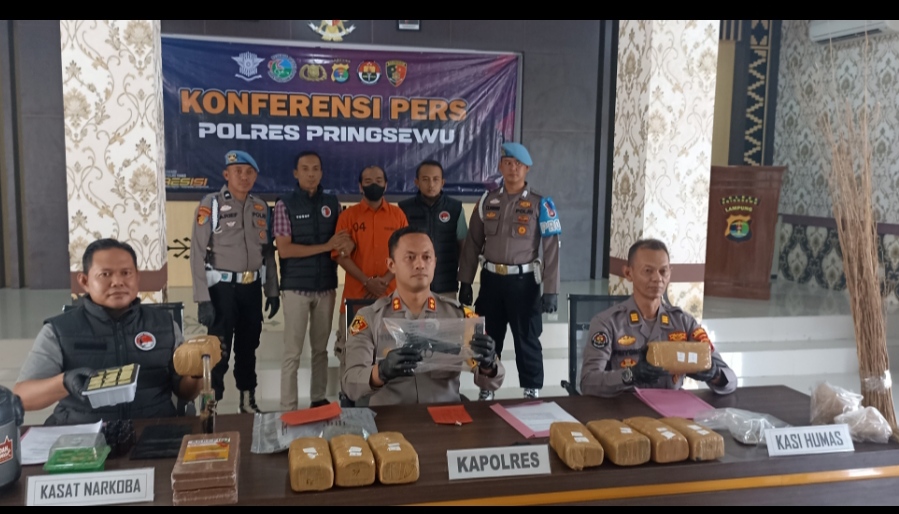 Polres Pringsewu Amankan Pengedar Ganja Jaringan Aceh 