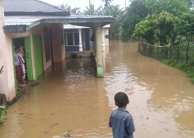 Ini Wilayah Rawan Banjir di Kecamatan Wonosobo Tanggamus