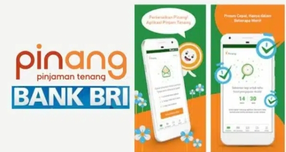 Pinang BRI Pinjaman Online Suku Bunga Murah, Limit Pinjaman Rp 20 Juta