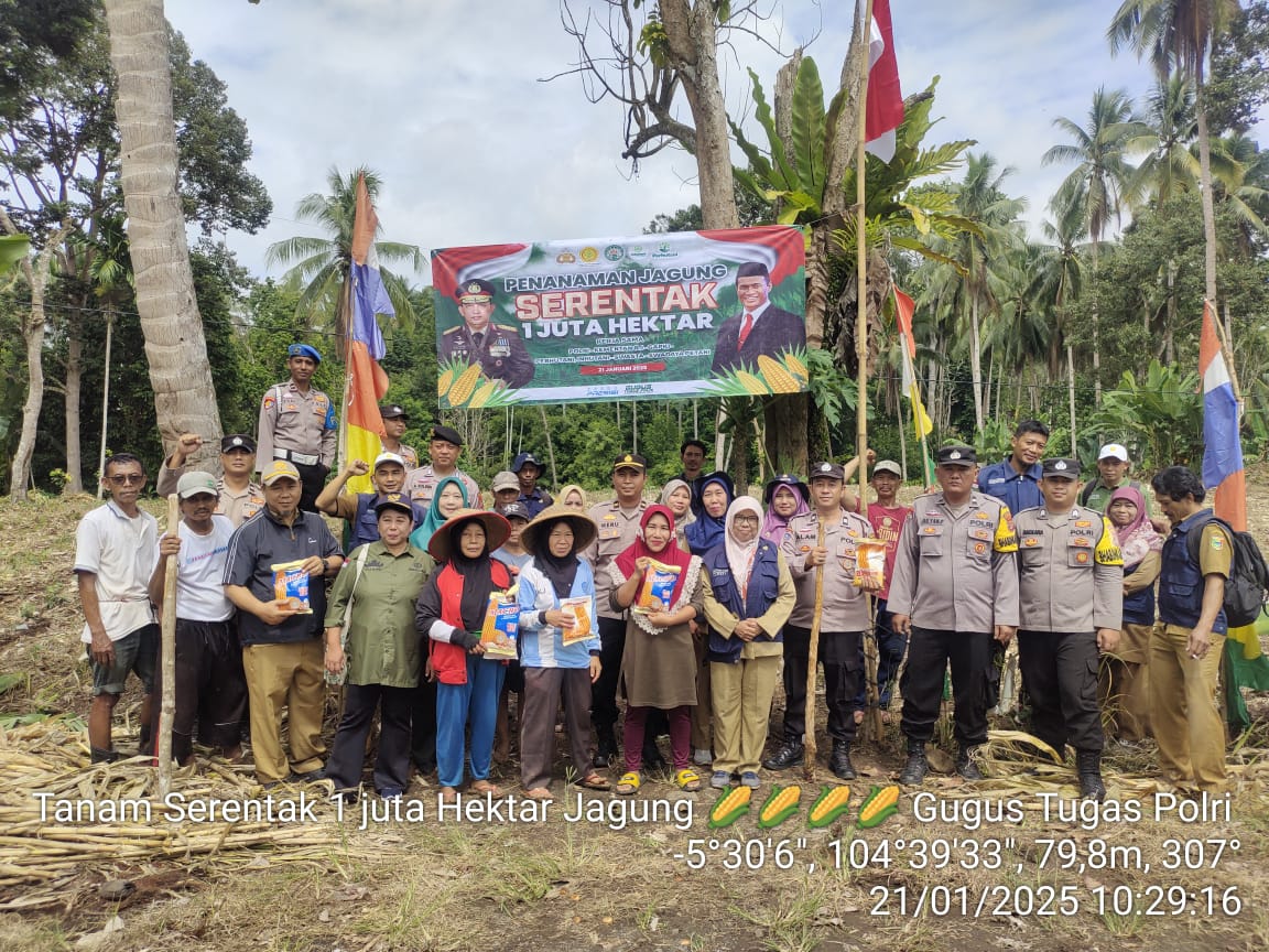 74 Pekon di Tanggamus Jadi Lokasi Tanam Jagung, Berikut Luasannya 