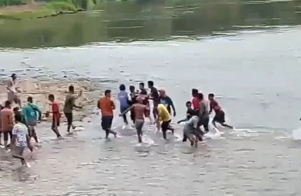 Lansia Dimangsa Buaya Saat Mandi di Way Semaka Tanggamus
