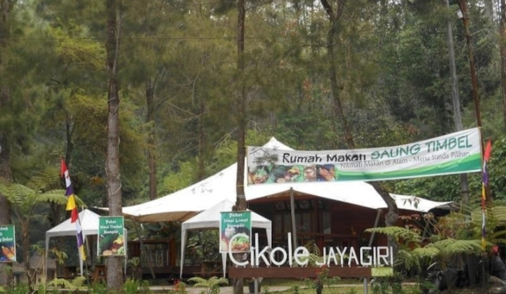 Bikin Hati Adem Ini 6 Lokasi Hutan Pinus di Lembang Jawa Barat, Berikut Fasilitasnya