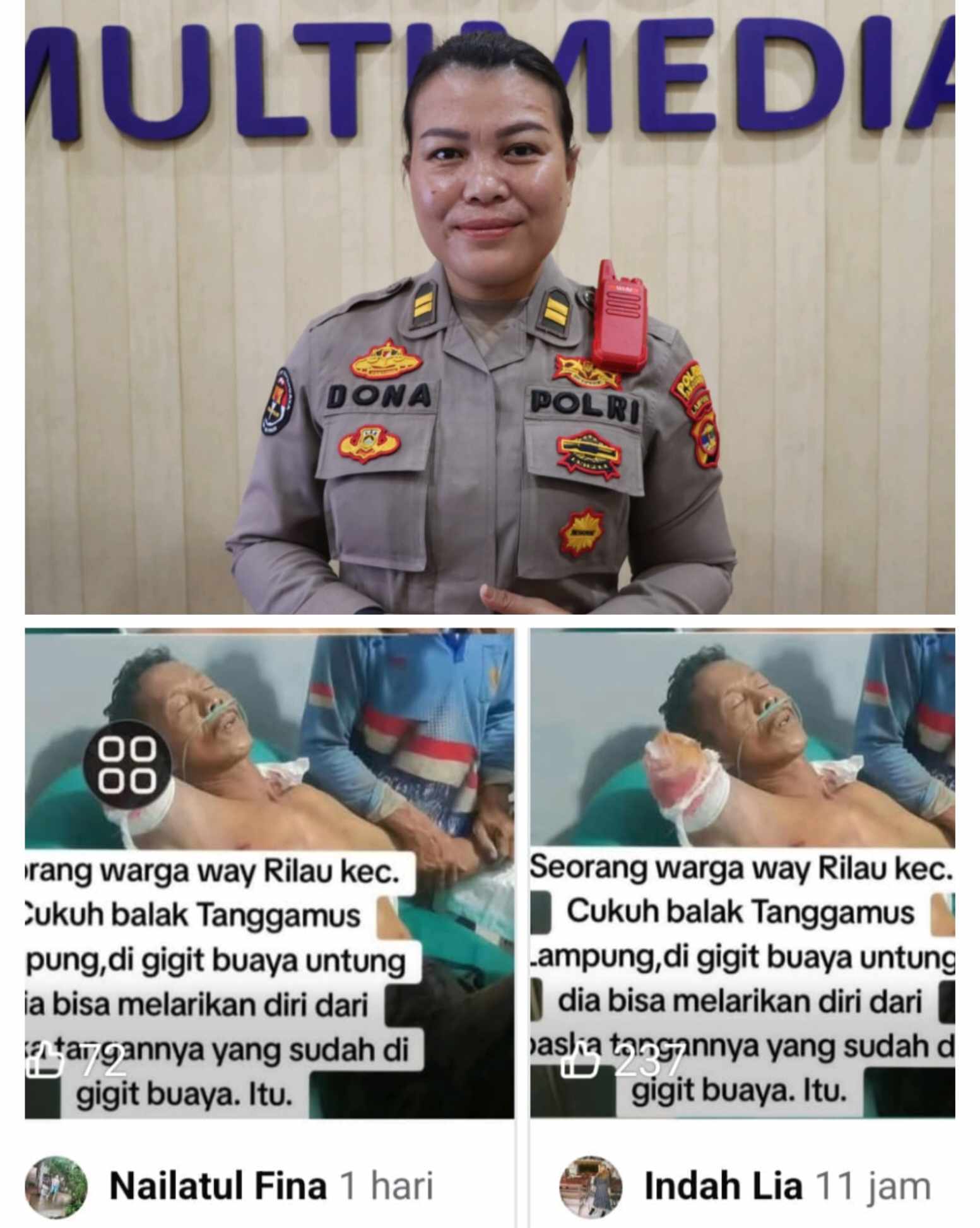 Kabar Mengenai Warga Diserang Buaya di Way Rilau Tanggamus Dipastikan Hoaks 