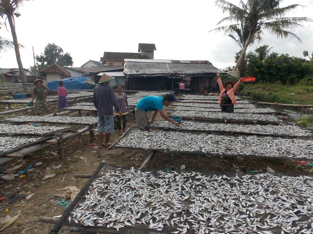 Lima Manfaat Ikan Asin Untuk Kesehatan