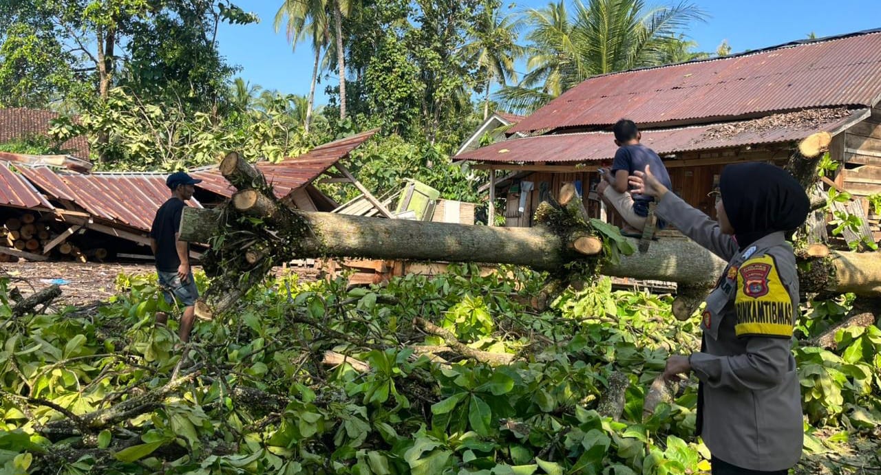 Puting Beliung Terjang Wonosobo Tanggamus, 13 Bangunan Rusak
