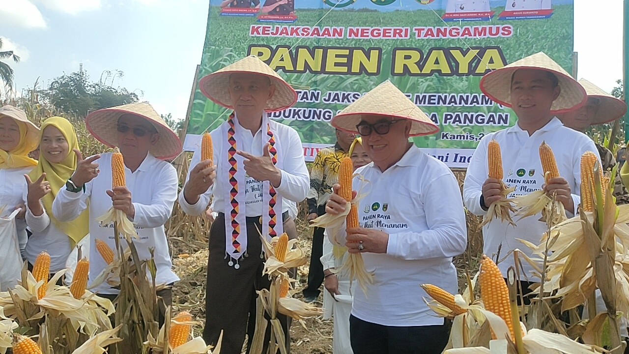 Kajati Lampung bersama Bupati Tanggamus dan Forkopimda Panen Jagung di Gisting