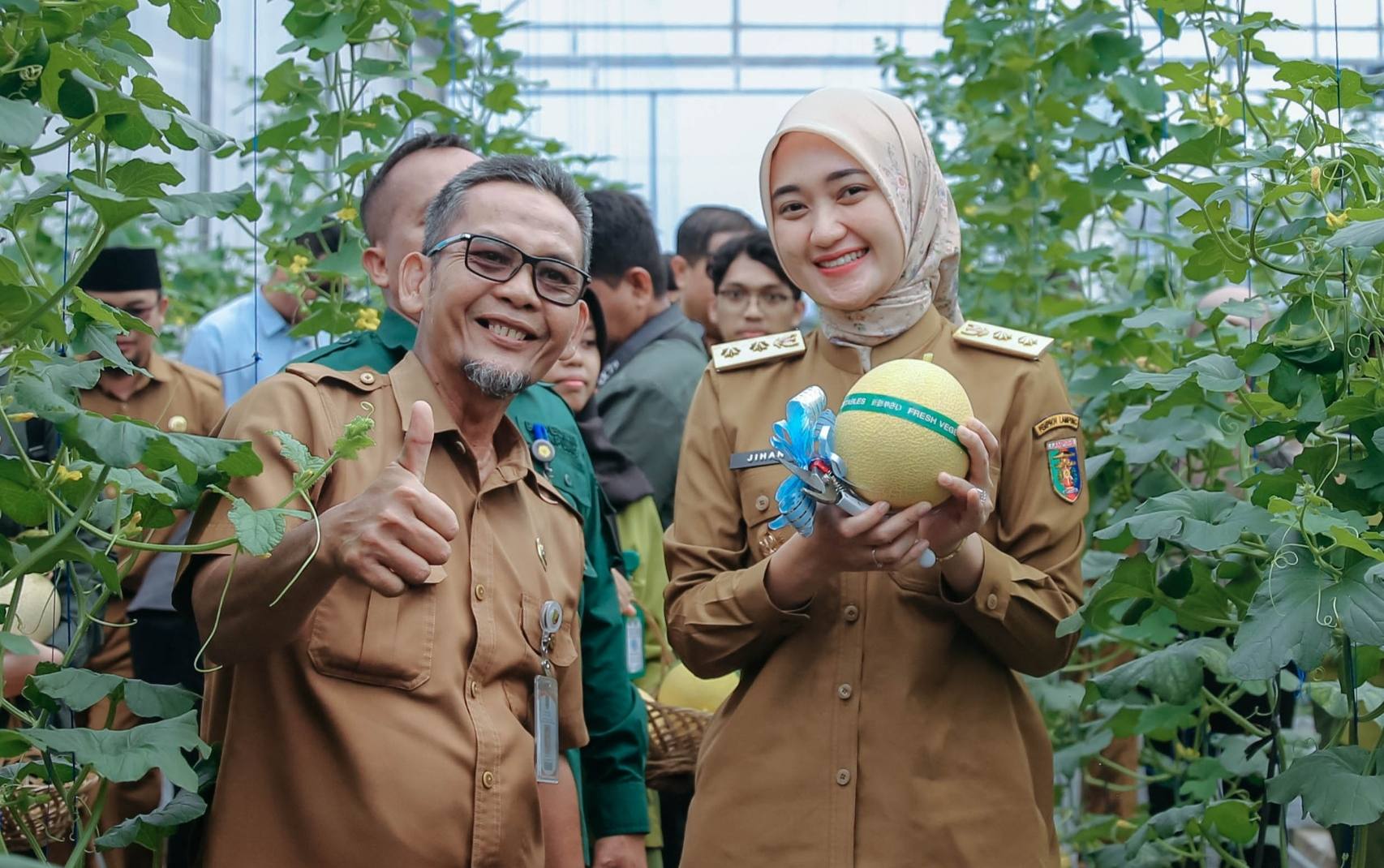 Wagub Jihan Panen Melon Smart Greenhouse di Natar