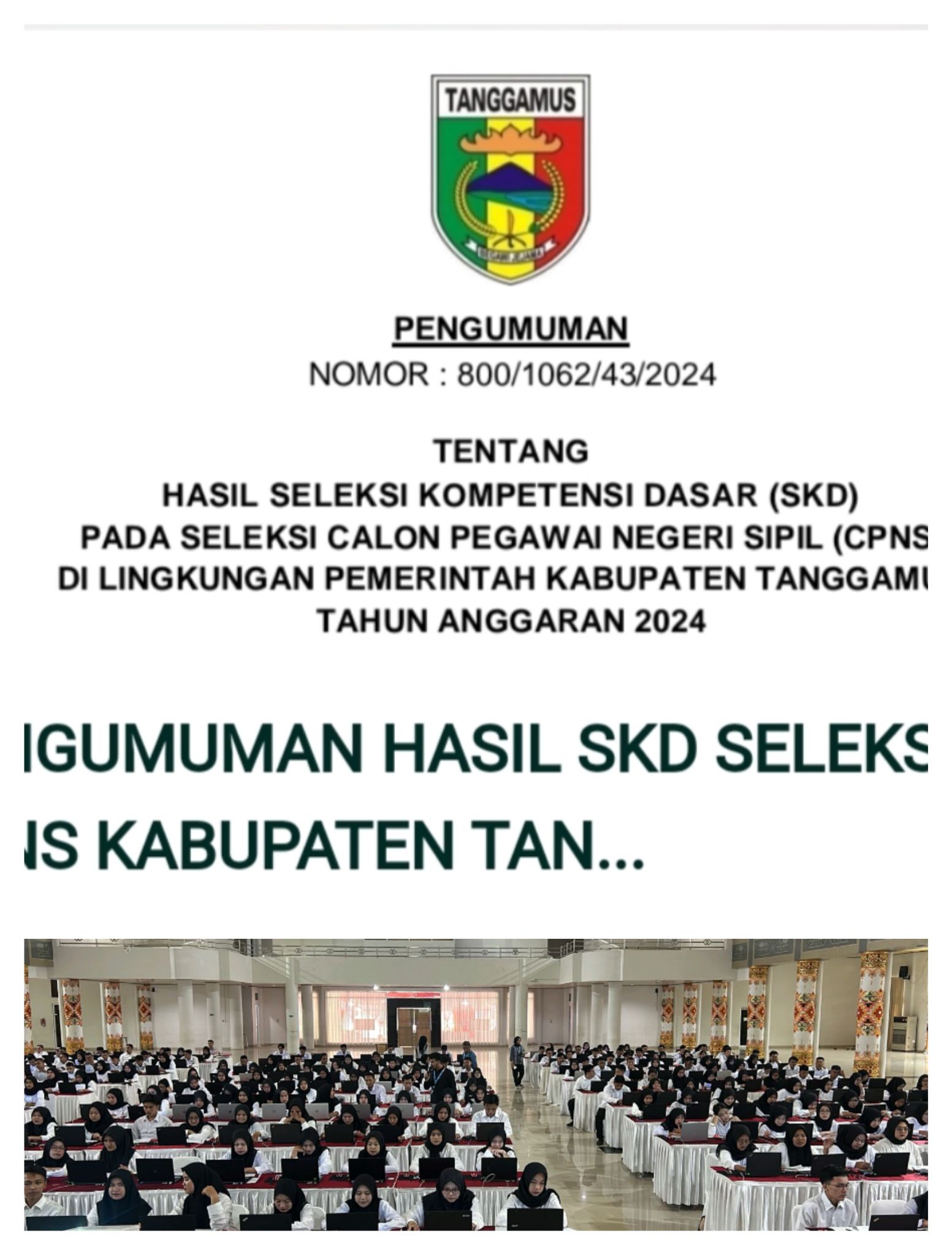 Pemkab Tanggamus Umumkan Hasil SKD CPNS 2024, Hanya Peserta Dengan Kode Ini Yang Lolos SKB