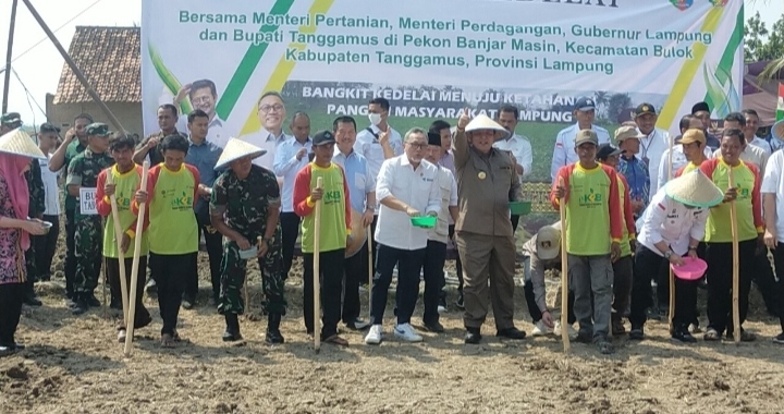 Petani Inginkan Harga, Kedelai Disesuaikan