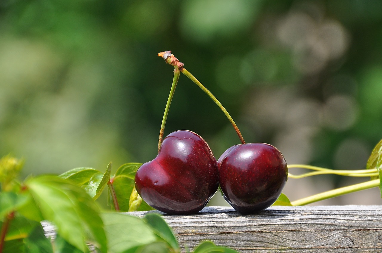 7 Manfaat Buah Ceri untuk Kesehatan