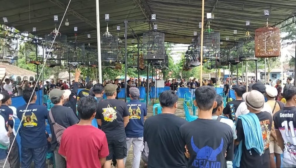 Ratusan Kicau Mania Ikuti Lomba Burung Kicau Yang Digelar Polres Tanggamus dan Granat
