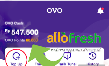 Tingkatkan Transaksi di Allofresh, Nikmati Saldo OVO Cash Cuma Cuma