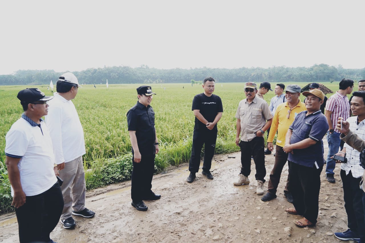 Pembangunan Jalan Rusak Waykrui Banyumas Pringsewu di Usulkan APBD Perubahan 2024