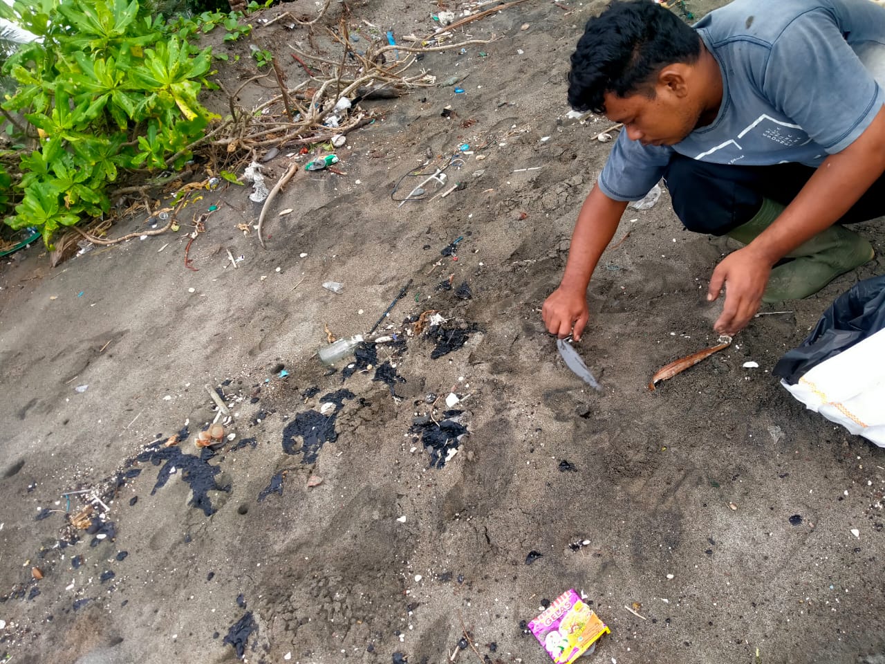 Limbah Hitam Diduga Aspal Ditemukan di Pesisir Pantai Tanggamus, Lampung 
