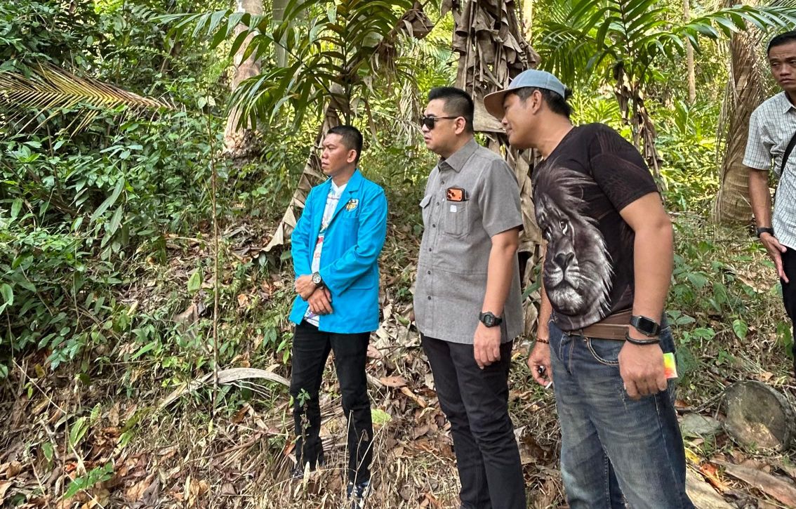 Rangga Putra Hakim Tinjau Jembatan Putus di Pulau Tabuan