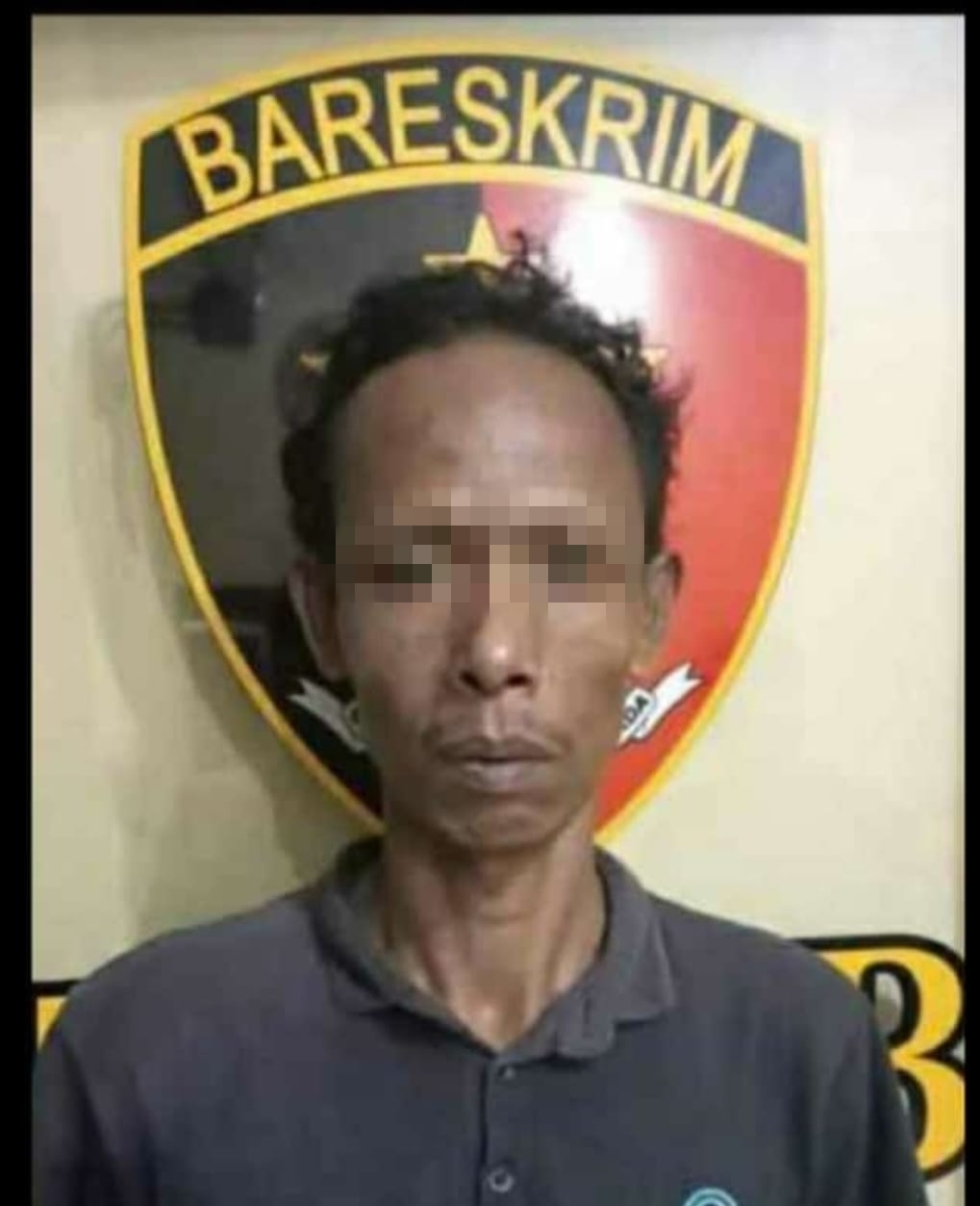 Pembunuh IRT di Pekon Sudimoro Berhasil Ditangkap Polisi