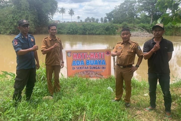 Atasi Kemunculan Buaya di Way Sekampung, BPBD Pringsewu Minta Bantuan BKSDA