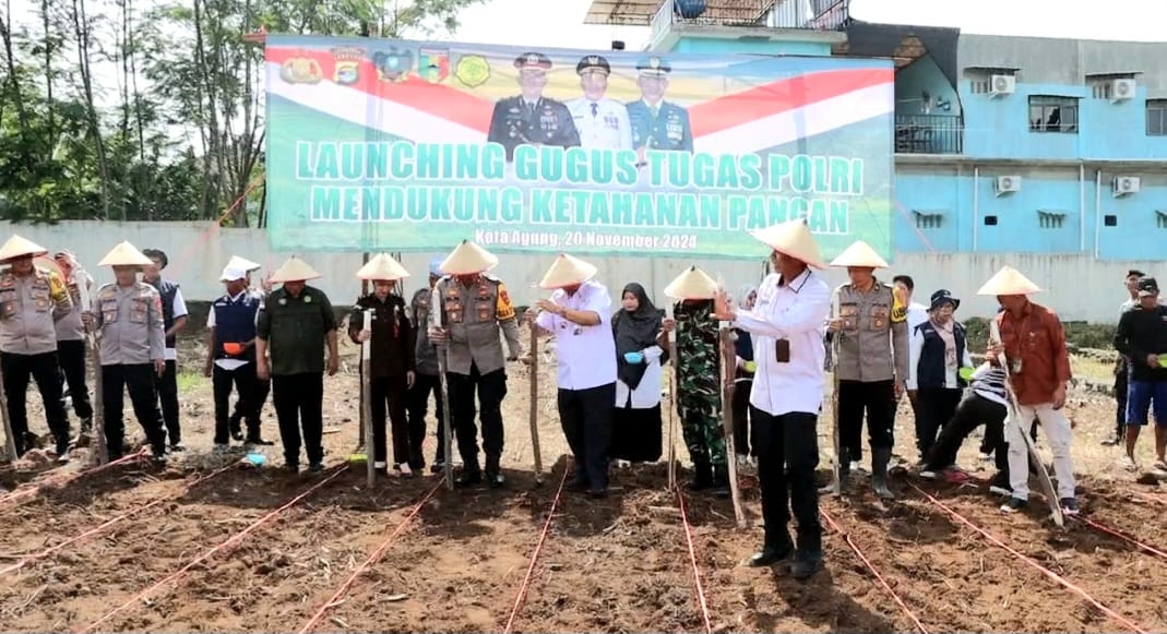 Polres Tanggamus dan Forkopimda Tanam Jagung Unggul di Area Satpas SIM