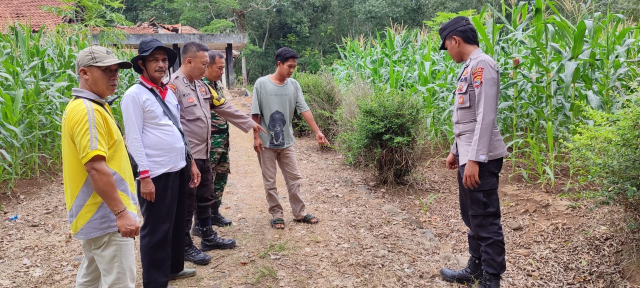 Bayi Laki-laki Terbungkus Plastik Hitam Ditemukan Warga di Perumahan PTPN VII Tangkit Serdang