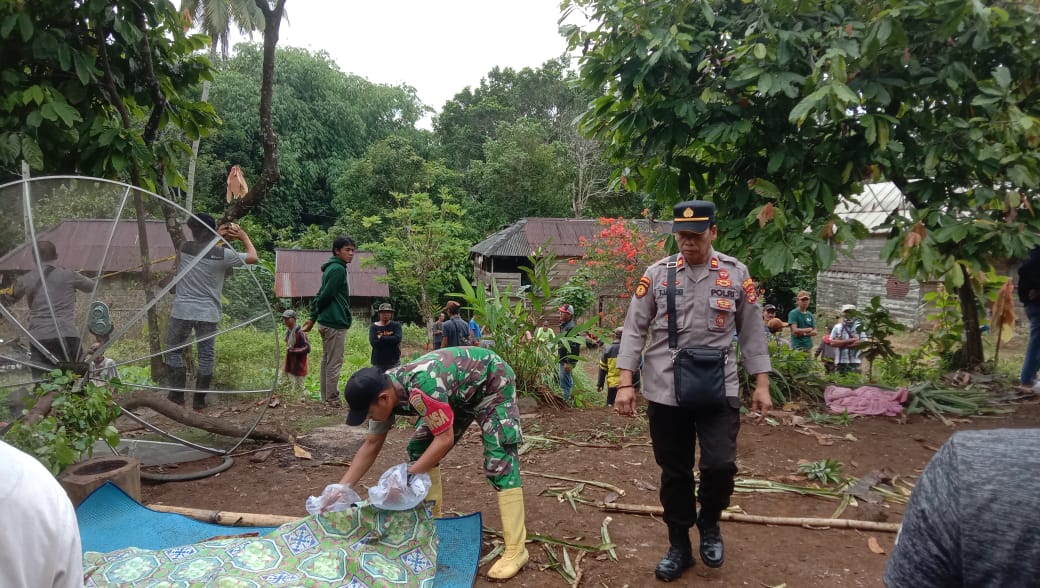 Diserang Kawanan Gajah Lansia di Tanggamus Tewas Mengenaskan