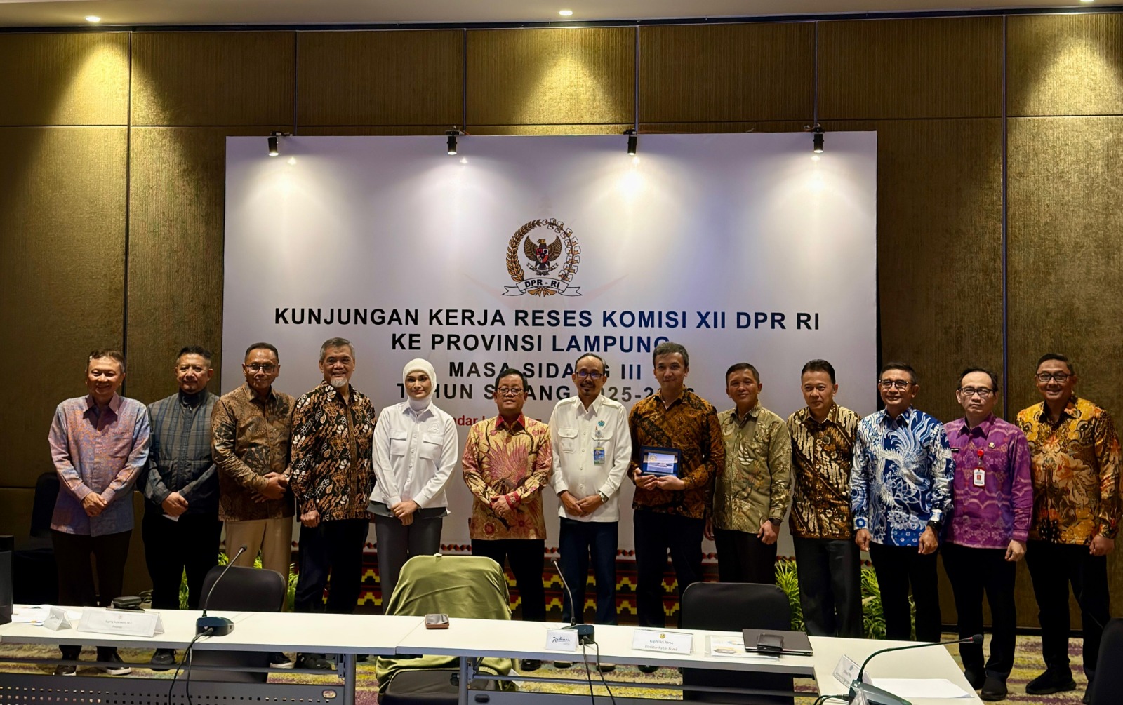 Komisi XII DPR RI Dorong Percepatan Pengembangan Panas Bumi di Lampung