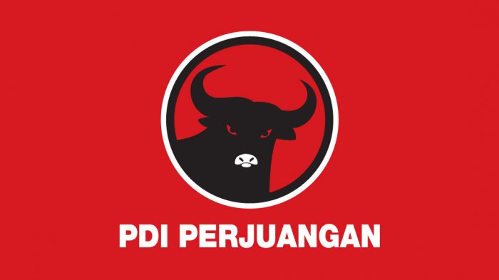 PDI-P Layangkan Surat Pemecatan Riski Raya Saputra