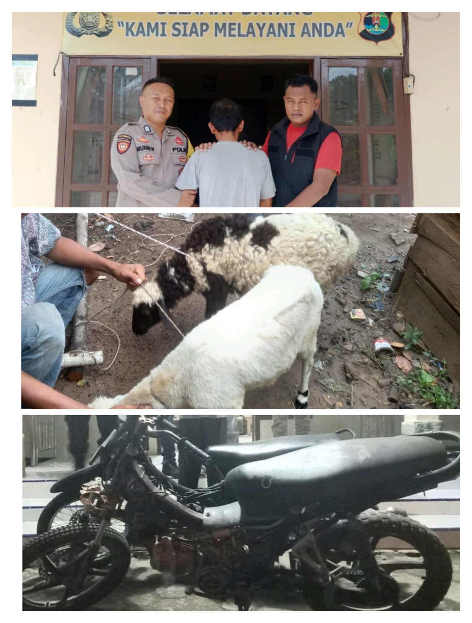 Kocak, Pencuri Kambing di Bulok Tinggalkan 2 Motor di Lokasi