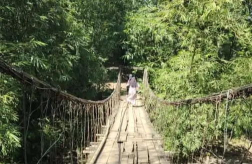 Kisah Horor Jembatan Pungkut di Tanggamus, Ada Suara 'Mbak Kunkun' Terdengar Menggantung di Ujung Bambu