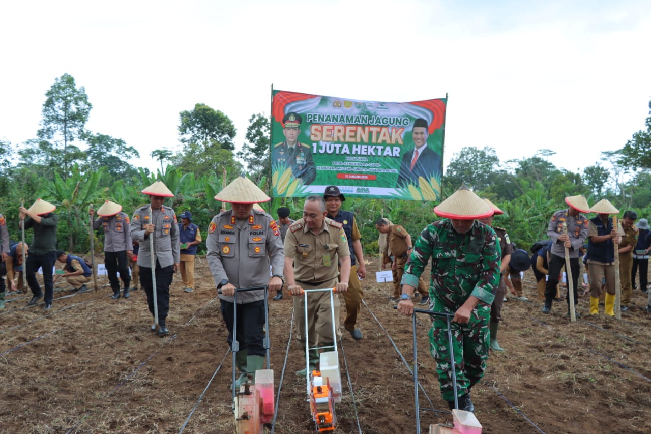 Dukung Swasembada Pangan Kapolres Tanggamus Tanam Jagung, Ini Lokasinya