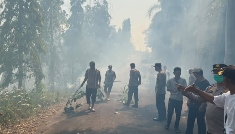  Kebakaran Lahan di Batu Tegi Tanggamus Hanguskan 1,5 Hektare, Kerugian Rp80 Juta