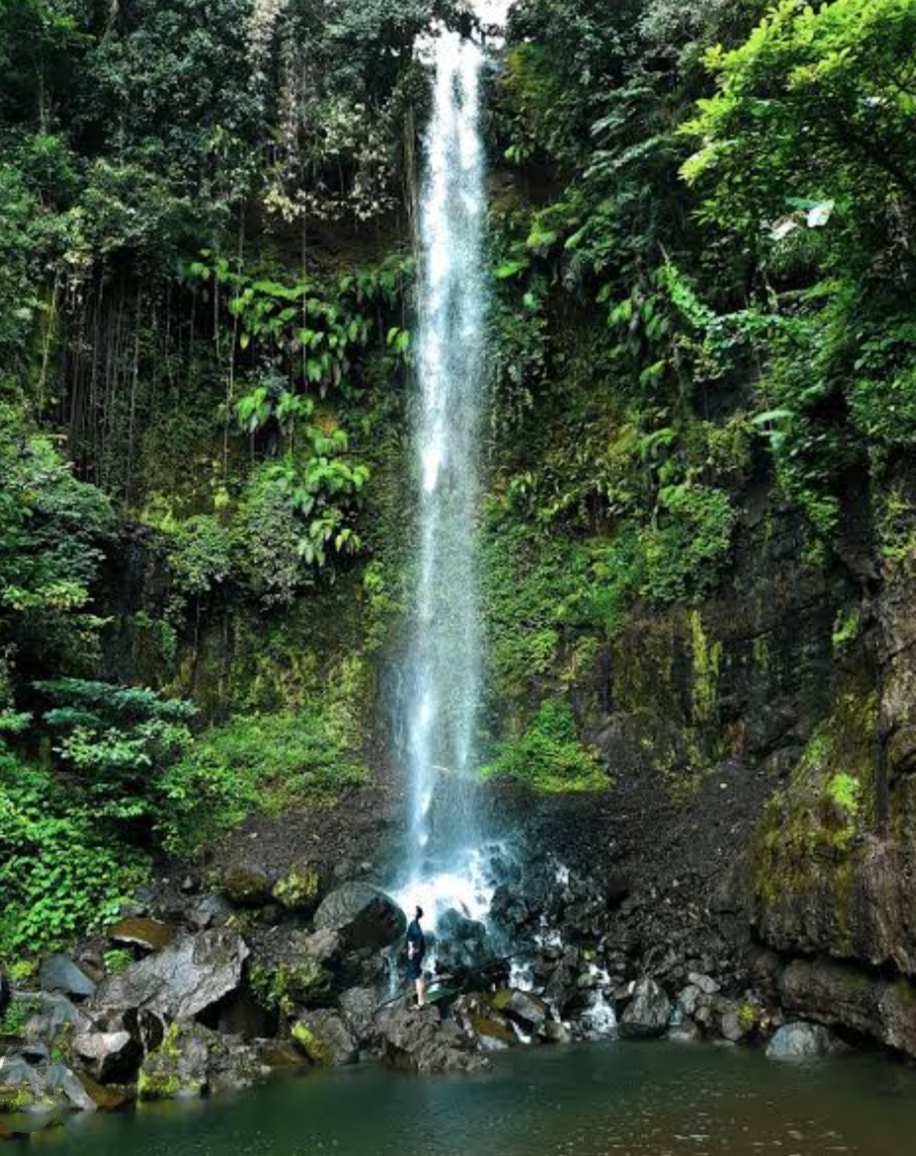 Wisata Alam Tersembunyi Curug Gado Bangkong, Suasana Alam yang Asri dan Sejuk, Cocok untuk Melepas Penat 