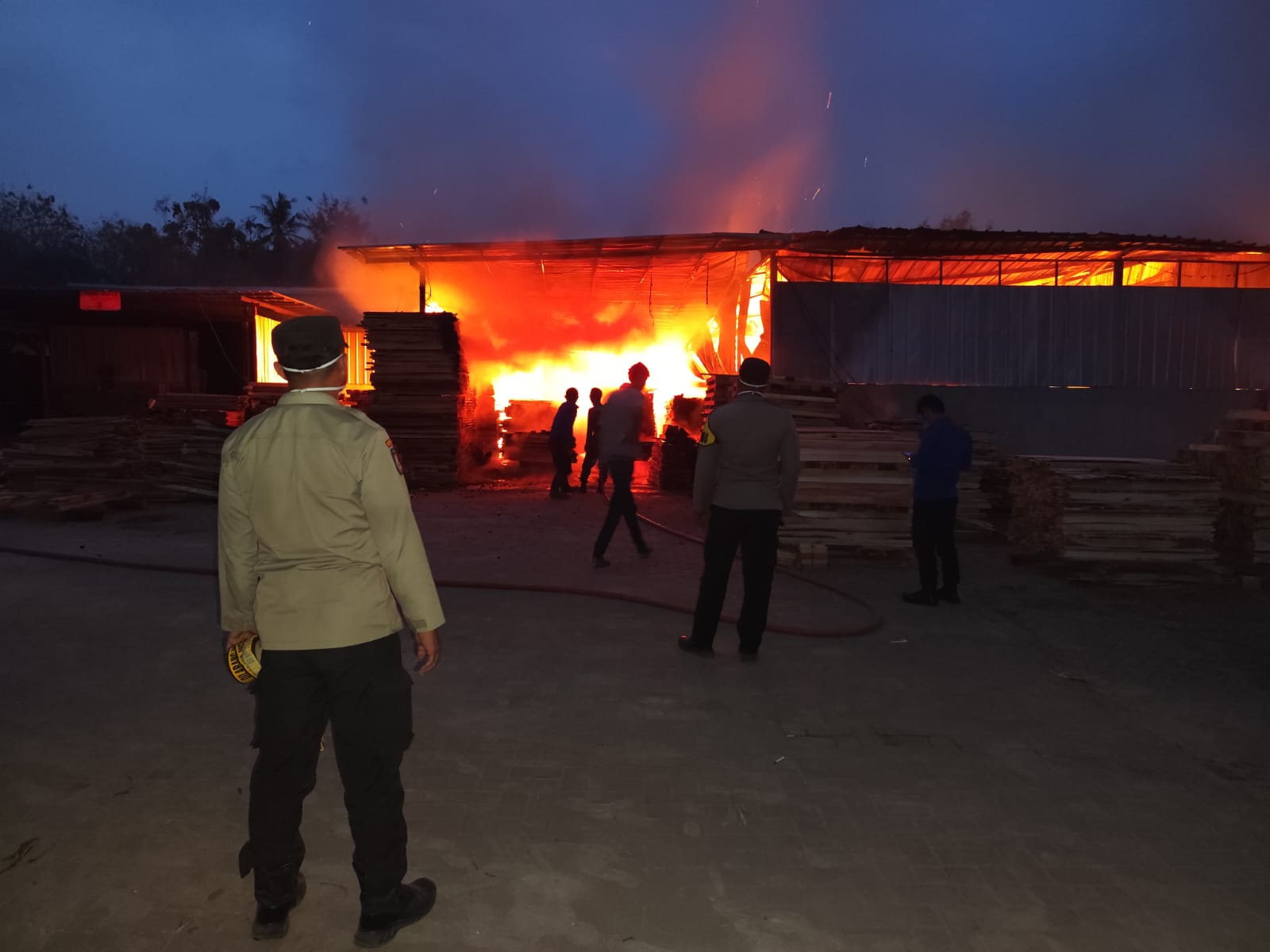 Pabrik Pengolahan Kayu di Pringsewu Terbakar, Kerugian Ditaksir Rp1,2 Miliar