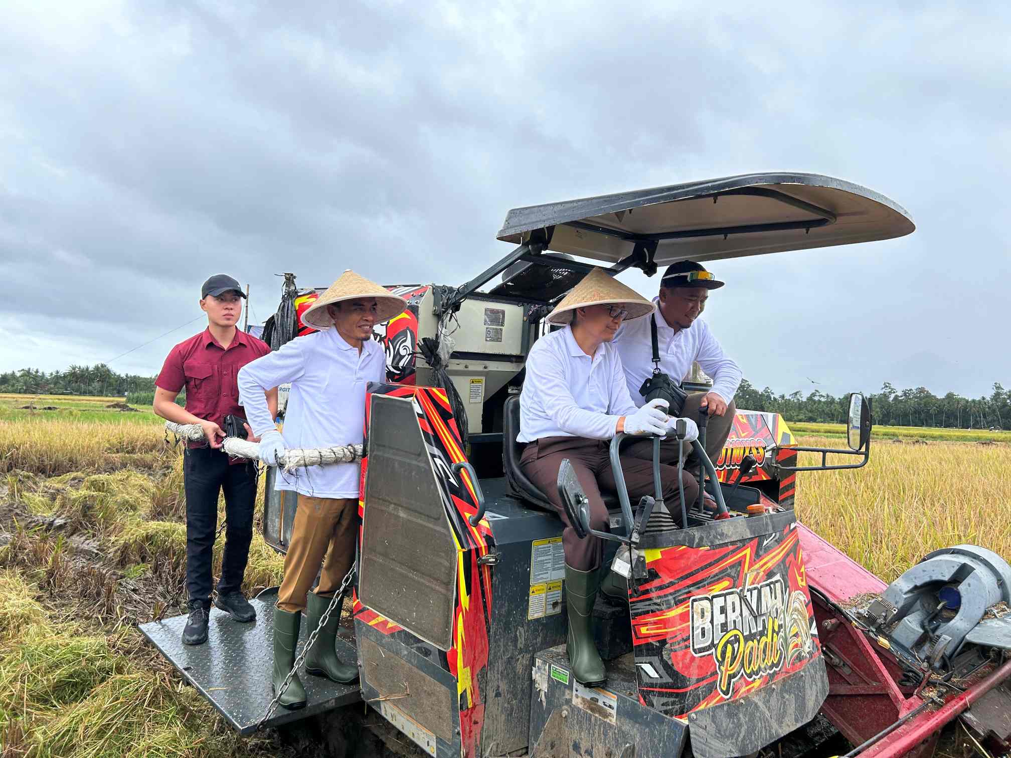 Kolaborasi Kejari dan Pemkab Tanggamus Raih Swasembada Pangan Dibuktikan Dengan Panen Raya
