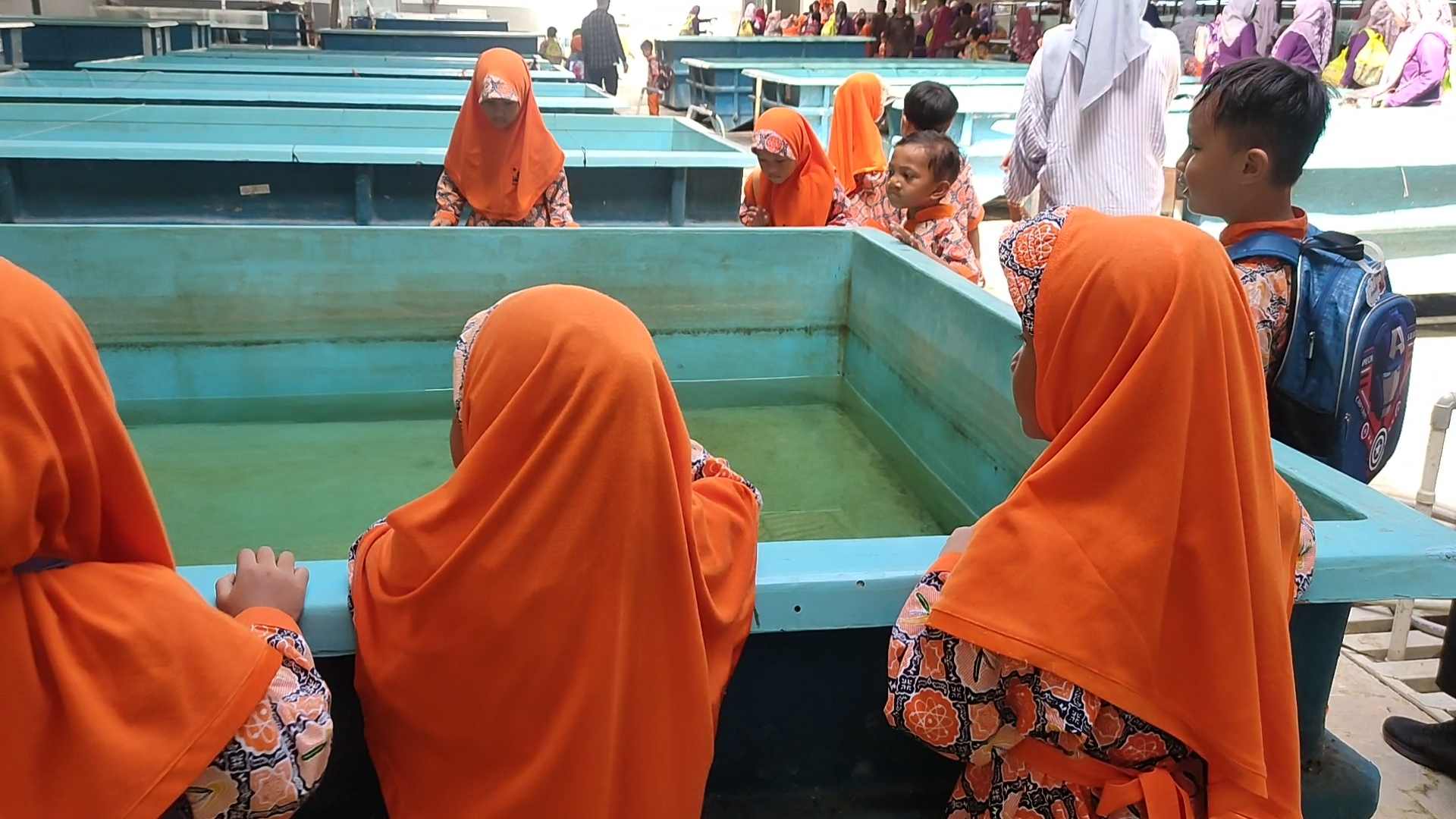 Ratusan Siswa TK IT Teladan Kunjungi Mal Ikan SUPM