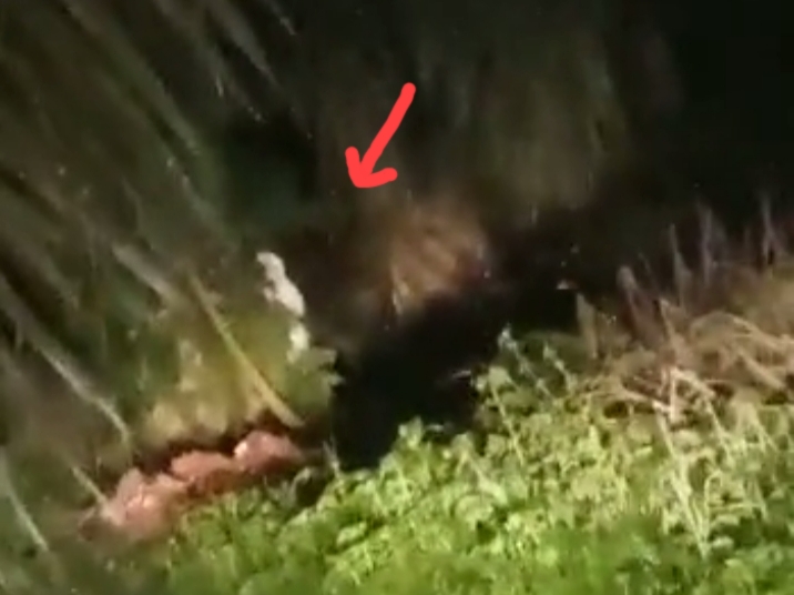 Bikin Geger, Video Penampakan Pocong di Umbul Kalong Ternyata Hoax