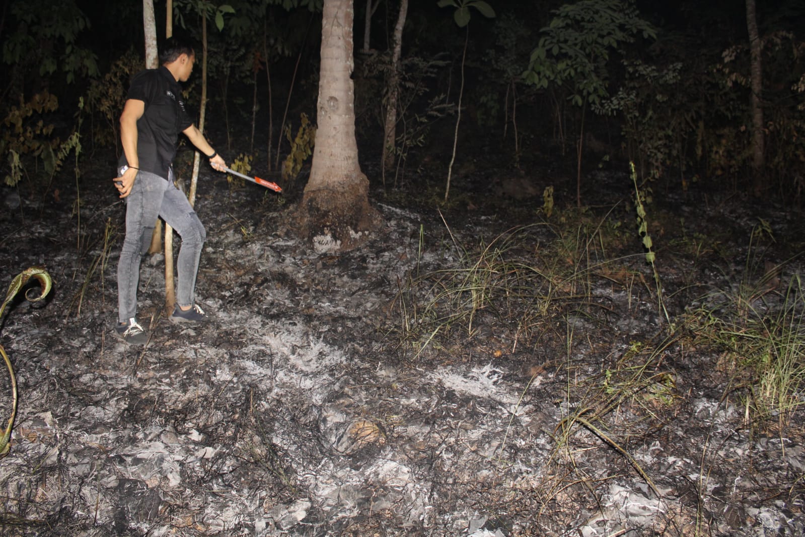 5 Hektar Lahan Terbakar di Sumberejo, Pagelaran