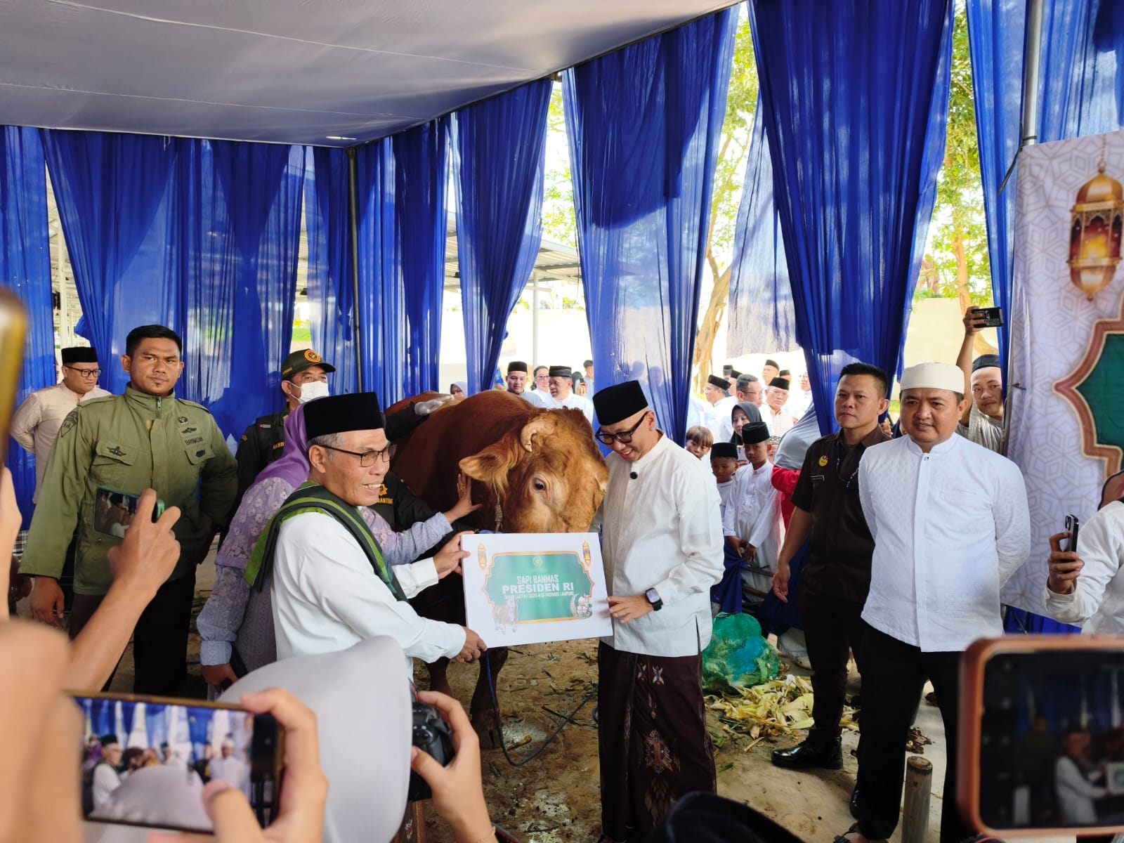 Gubernur Mirza Terima Sapi Kurban Jumbo dari Presiden Prabowo Berbobot 1,1 Ton