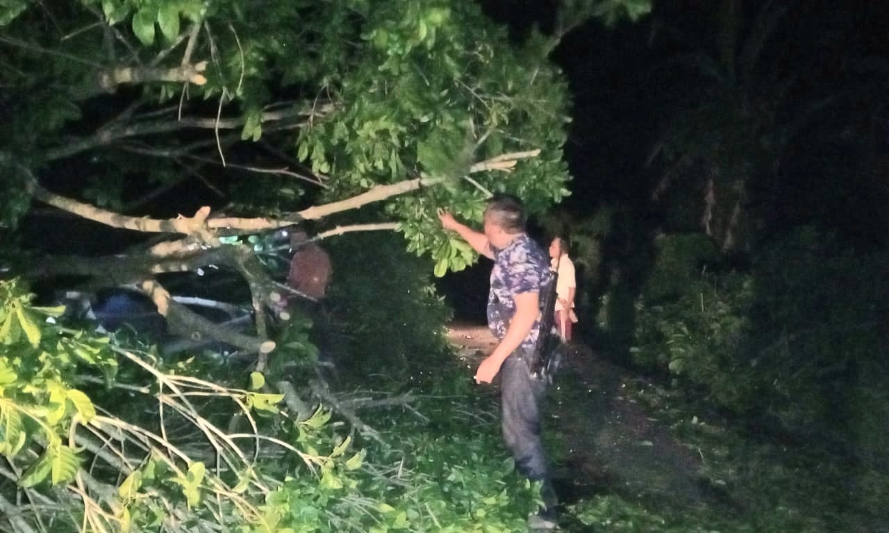 Polairud Tanggamus Bersama Warga Berjibaku Evakuasi Pohon Tumbang Yang Menutupi Jalan