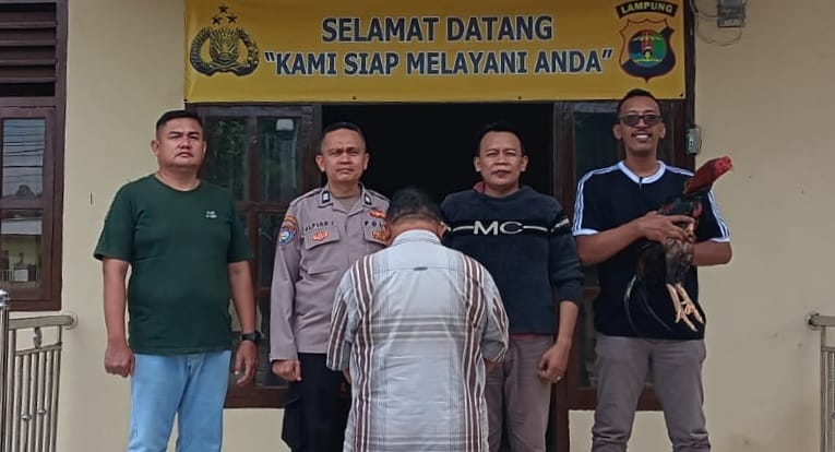 Curi Ayam Bangkok Birma, Warga Talang Padang Ditangkap Polisi