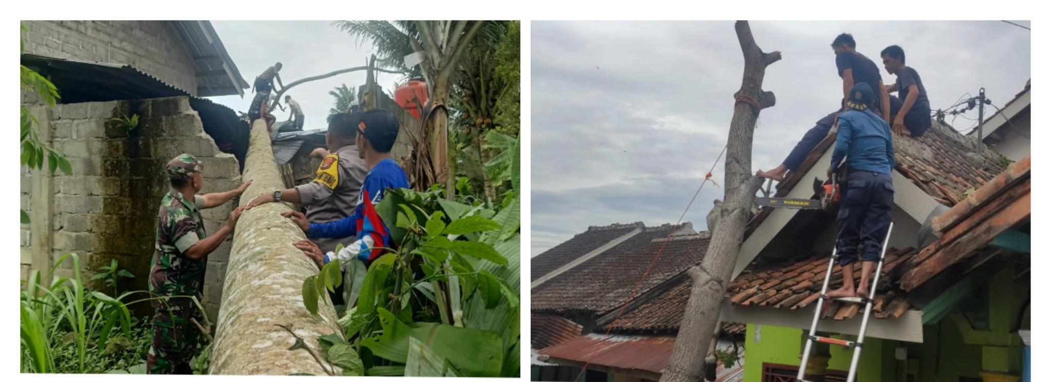 Angin Kencang Sebabkan Pohon Tumbang, 2 Rumah Warga Rusak 