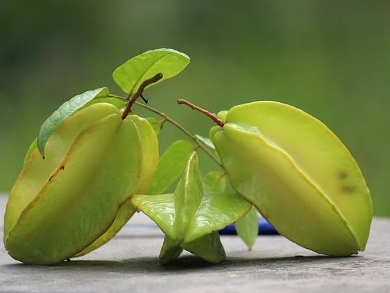 Belum Banyak yang Tahu, Ini 5 Manfaat Buah Belimbing untuk Kesehatan 