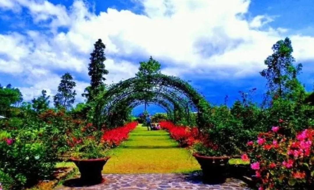 Nikmati Keindahan Bunga yang Segar dan Udara Sejuk  Healaing Bersama Teman dan Keluarga di Pegunungan Garut