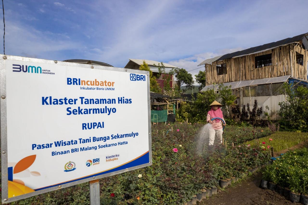 Maknai Harkitnas Ini 7 Peran BRI Bawa Ekonomi Indonesia Lebih Kuat