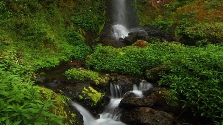 Air Terjun Girimanik, Wisata Hidden Gem di Wonogiri Jawa Tengah