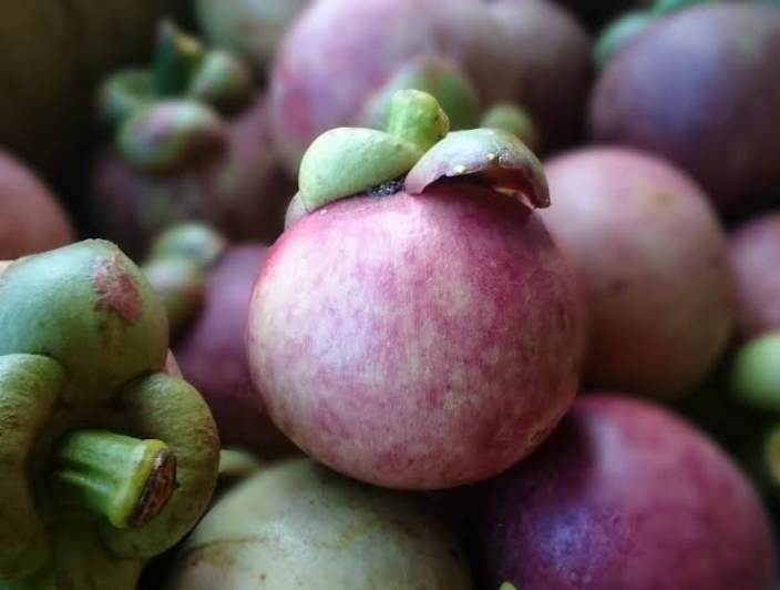 Selain Enak di Makan, Ini 7 Manfaat Buah Manggis Untuk Kesehatan