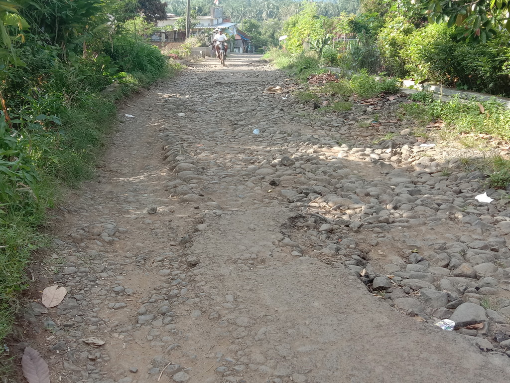 Jalan Penghubung Pekon Balak-Tanjung Kurung Rusak Parah