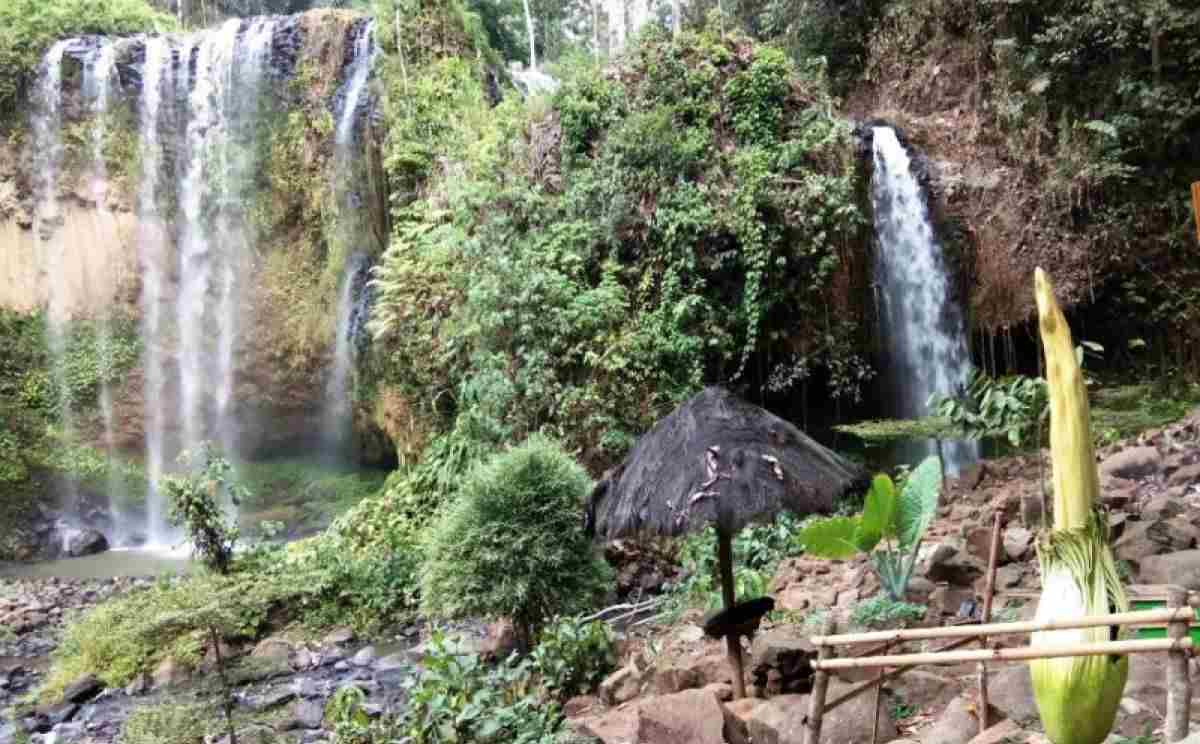 Pekon Datar Lebuay, Gudangnya Wisata Air Terjun Di Kabupaten. Segini Jumlahnya