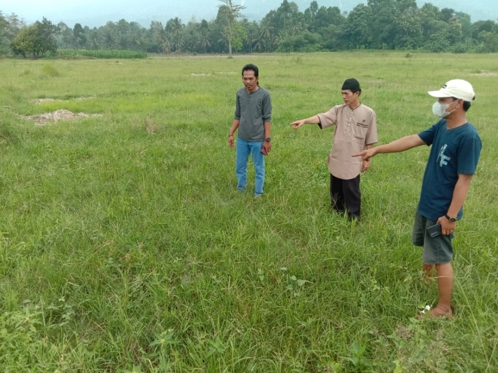 Ratusan Hektar Sawah Kekeringan, Petani di BNS Meradang
